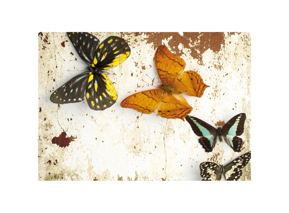 Framework PAPILLONS G3352 PINTDECOR