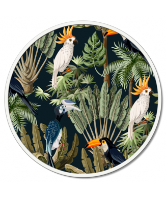 Framework PARROTS GT6260 PINTDECOR