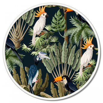 Framework PARROTS GT6260 PINTDECOR