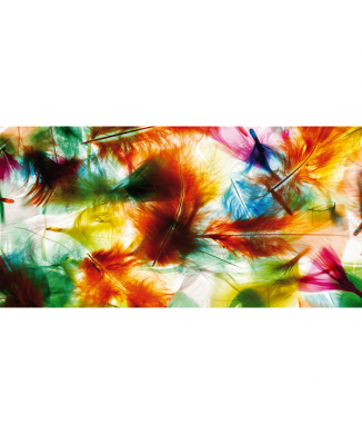 Painting COLORFUL FEATHERS G1434 PINTDECOR