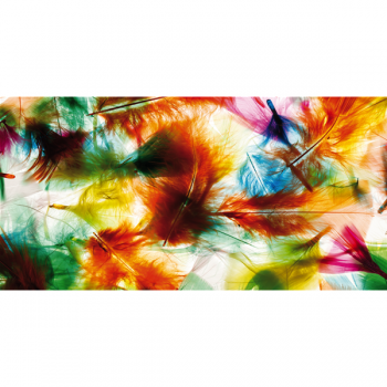 Painting COLORFUL FEATHERS G1434 PINTDECOR