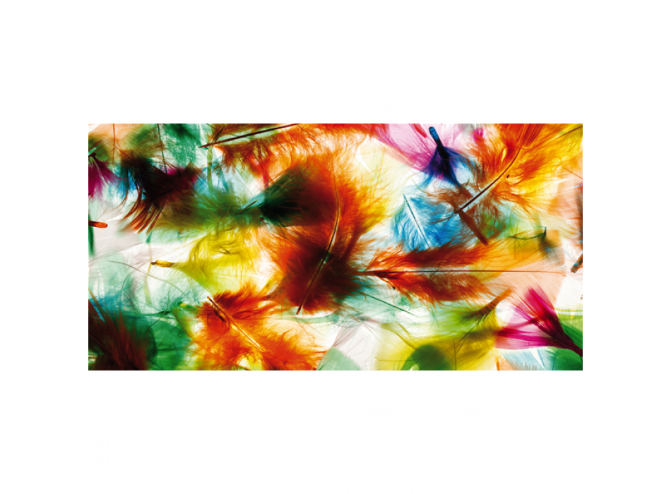 Painting COLORFUL FEATHERS G1434 PINTDECOR