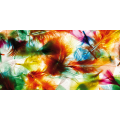 Framework COLORED FEATHERS G1434 PINTDECOR