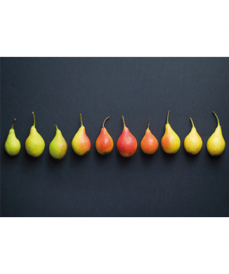 Framework POIRES G2694 PINTDECOR