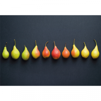 Framework POIRES G2694 PINTDECOR