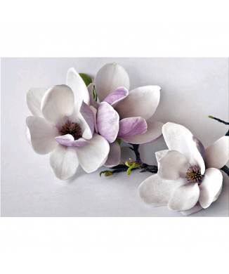 Framework TRUNCH G5256 PINTDECOR