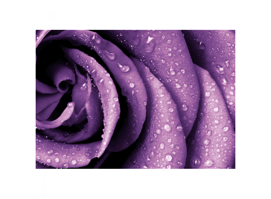 Framework MORNING DEW G4212 PINTDECOR