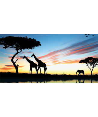 Framework SAVANNA 2 G3334 PINTDECOR