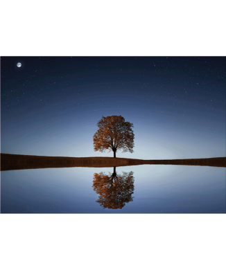 MIRROR picture G5306 PINTDECOR