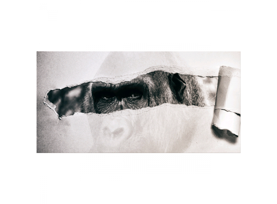 Framework TEAR G5928 PINTDECOR