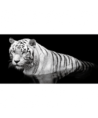 Framework TIGER IN WATER G2010 PINTDECOR