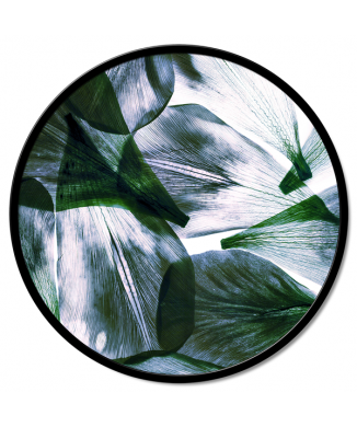 Framework TRANSPARENCY OF LEAVES GT6194 PINTDECOR