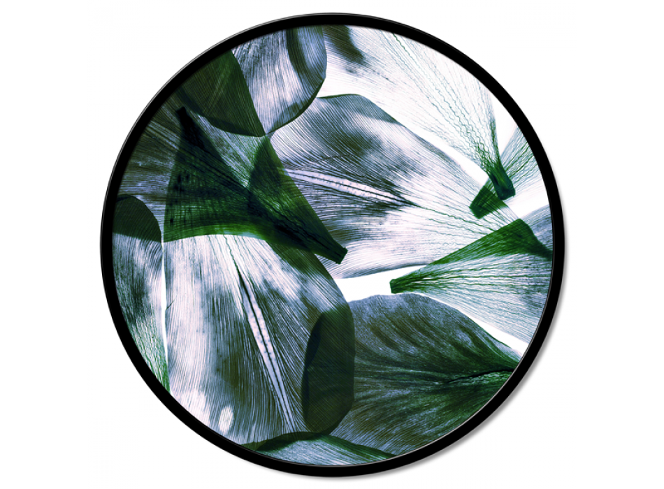 Framework TRANSPARENCY OF LEAVES GT6194 PINTDECOR