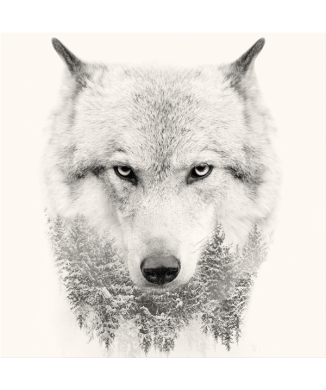 Framework WHITE WOLF G3322 PINTDECOR