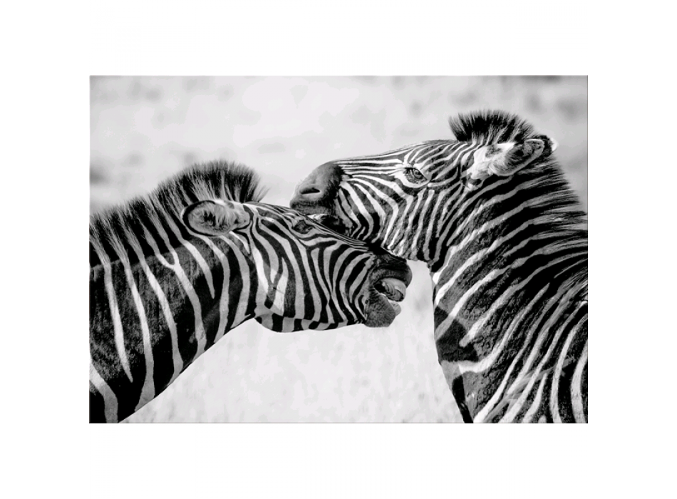 Framework ZEBRE G5934 PINTDECOR