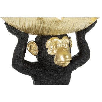 MONKEY WITHOUT POCKETS