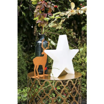 Luminous Star 30 cm (LED) 32508L 8 Seasons Design