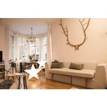 Luminous Star 60 cm 32066W 8 Seasons Design