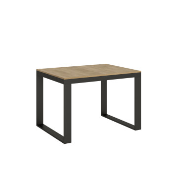 Tecno Evolution Table P.90 - Extendable table 120/224x90 cm Tecno Evolution white ash frame and anthracite legs