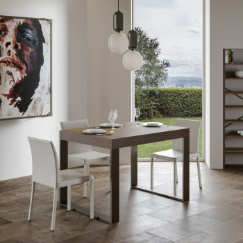 Tecno Premium Table D.90 - Extendable table 120/224x90 cm Tecno Premium white ash with anthracite legs