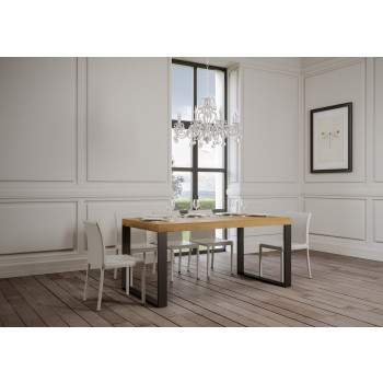Tecno Premium Table D.90 - Extendable table 120/380x90 cm Tecno Premium white ash with anthracite legs