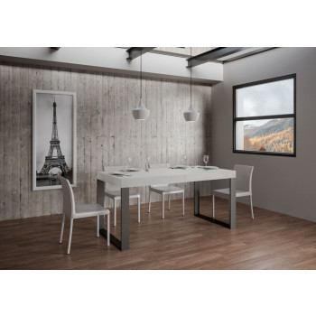 Tecno Premium Table D.90 - Extendable table 160/420x90 cm Tecno Premium white ash with anthracite legs