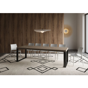 Tecno Premium Table D.90 - Extendable table 160/420x90 cm Tecno Premium white ash with anthracite legs