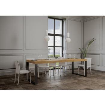 Tecno Premium Table D.90 - Extendable table 200/304x90 cm Tecno Premium white ash with anthracite legs