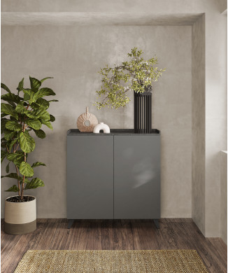 TRAY-Tall container with 2 doors