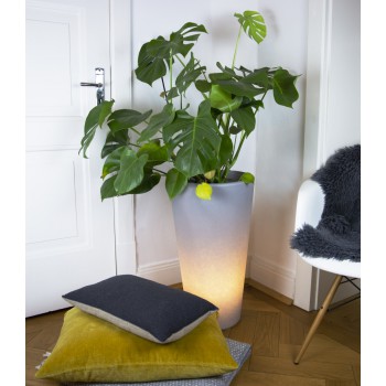 Classic Luminous Vase L 32061 8 Seasons Design