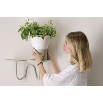 MIMOSA Vase - SCAB