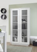 ICE 2-door display cabinet 